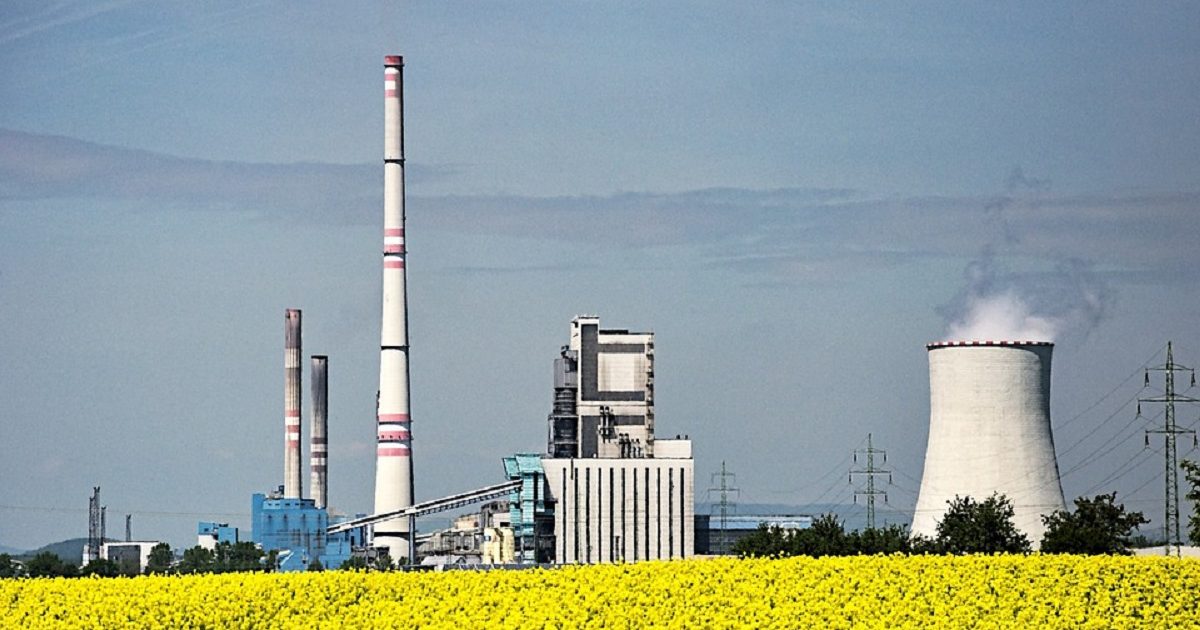 Biodiesel Eni, il diesel di origine vegetale arriva nelle stazioni di servizio