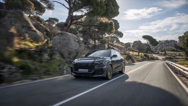 AUDI RS Q8 TFSI V8 quattro tiptronic